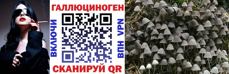 Псилоцибиновые грибы ЛСД  Тюмень 
